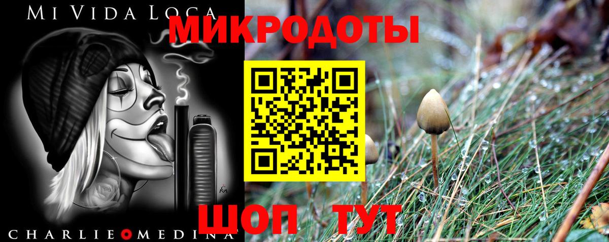 Псилоцибиновые грибы GOLDEN TEACHER Углич